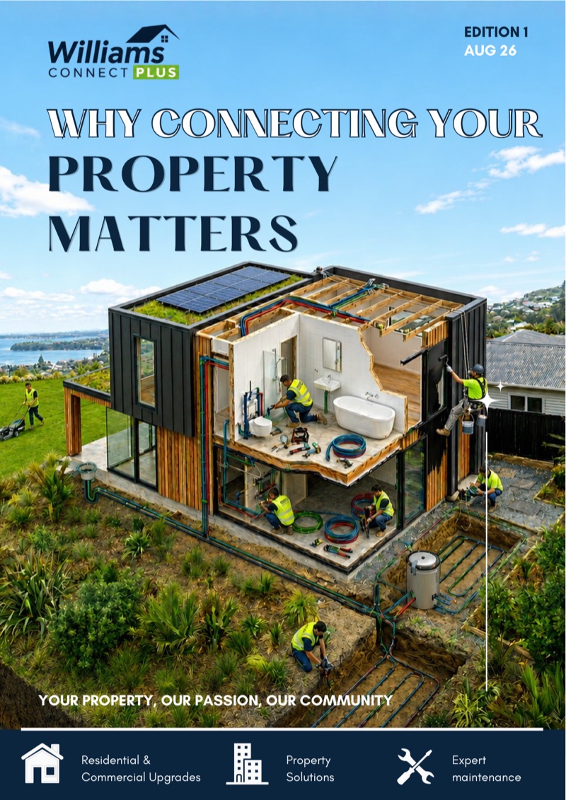 Connect Plus Insight — Issue 01 cover